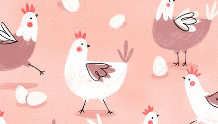 Cute Chicken Wallpaper