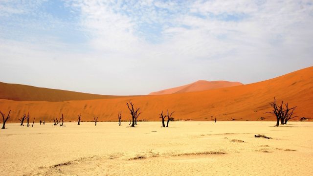 Desert Background