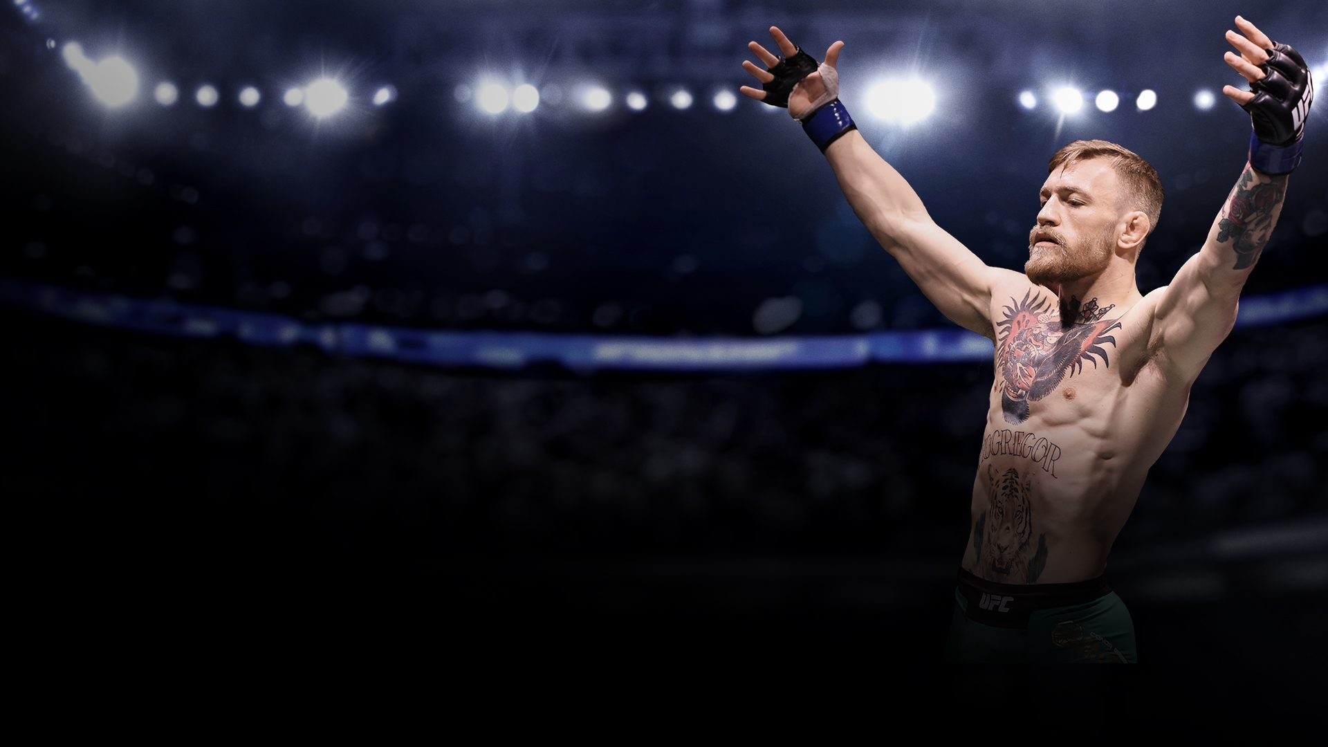 UFC sport wallpapers, Christopher Walker wallpapers, Sport wallpapers posted, Walker wallpapers, 1920x1080 Full HD Desktop