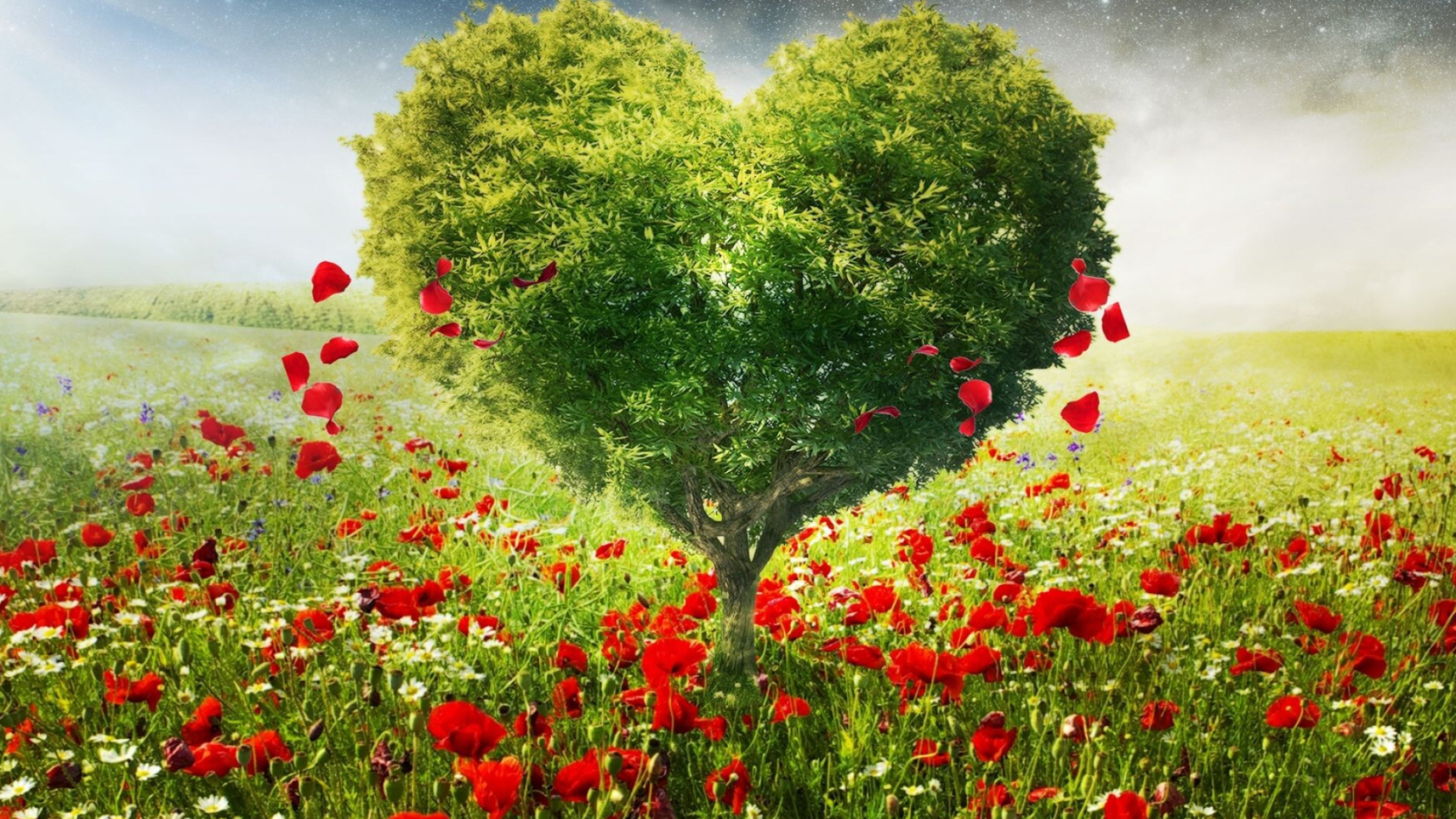 Heart-shaped tree, Go Green Wallpaper, 2560x1440 HD Desktop