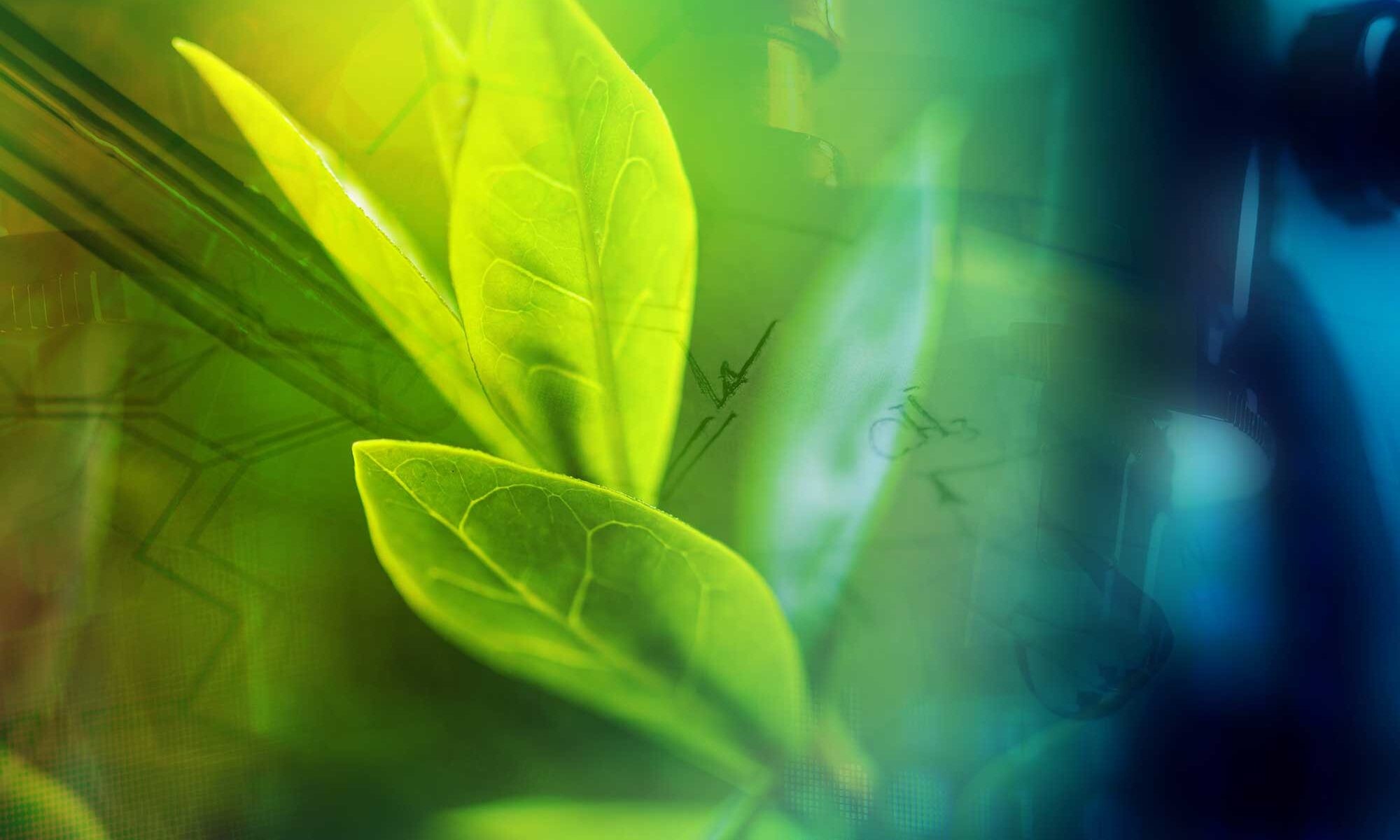 Go Green, Digital transformation, Agro and Chemistry industry, 2000x1200 HD Desktop