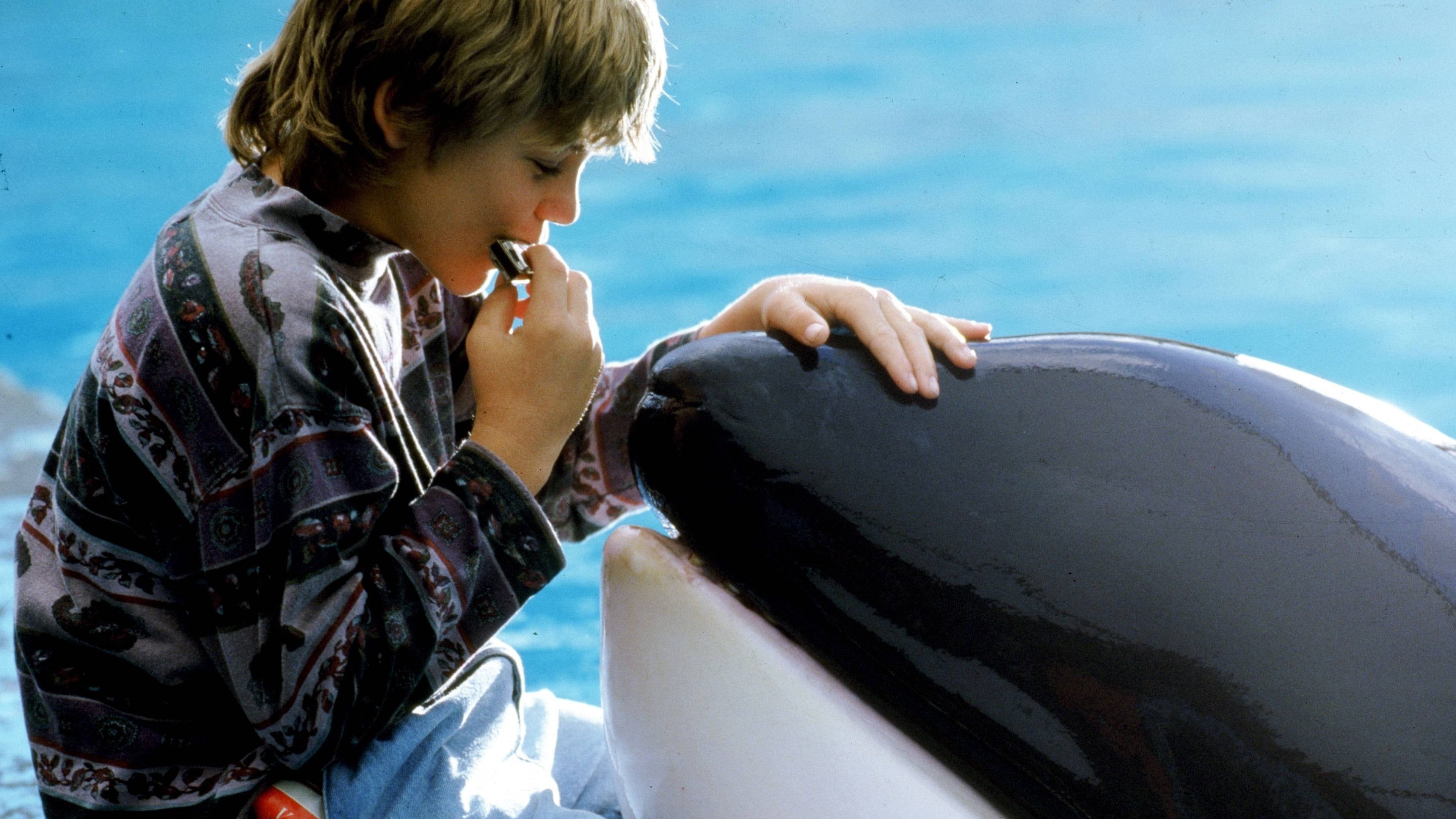 Jesse and Willy, Free Willy Wallpaper, 3840x2160 4K Desktop