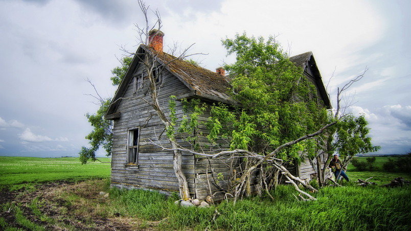 Old Timber House wallpaper