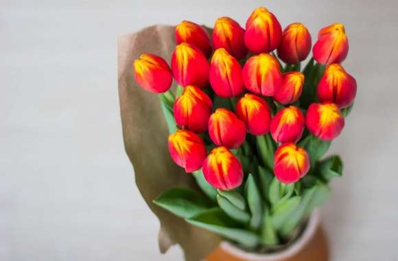 Red Tulips Bouquet Wrapped In Paper