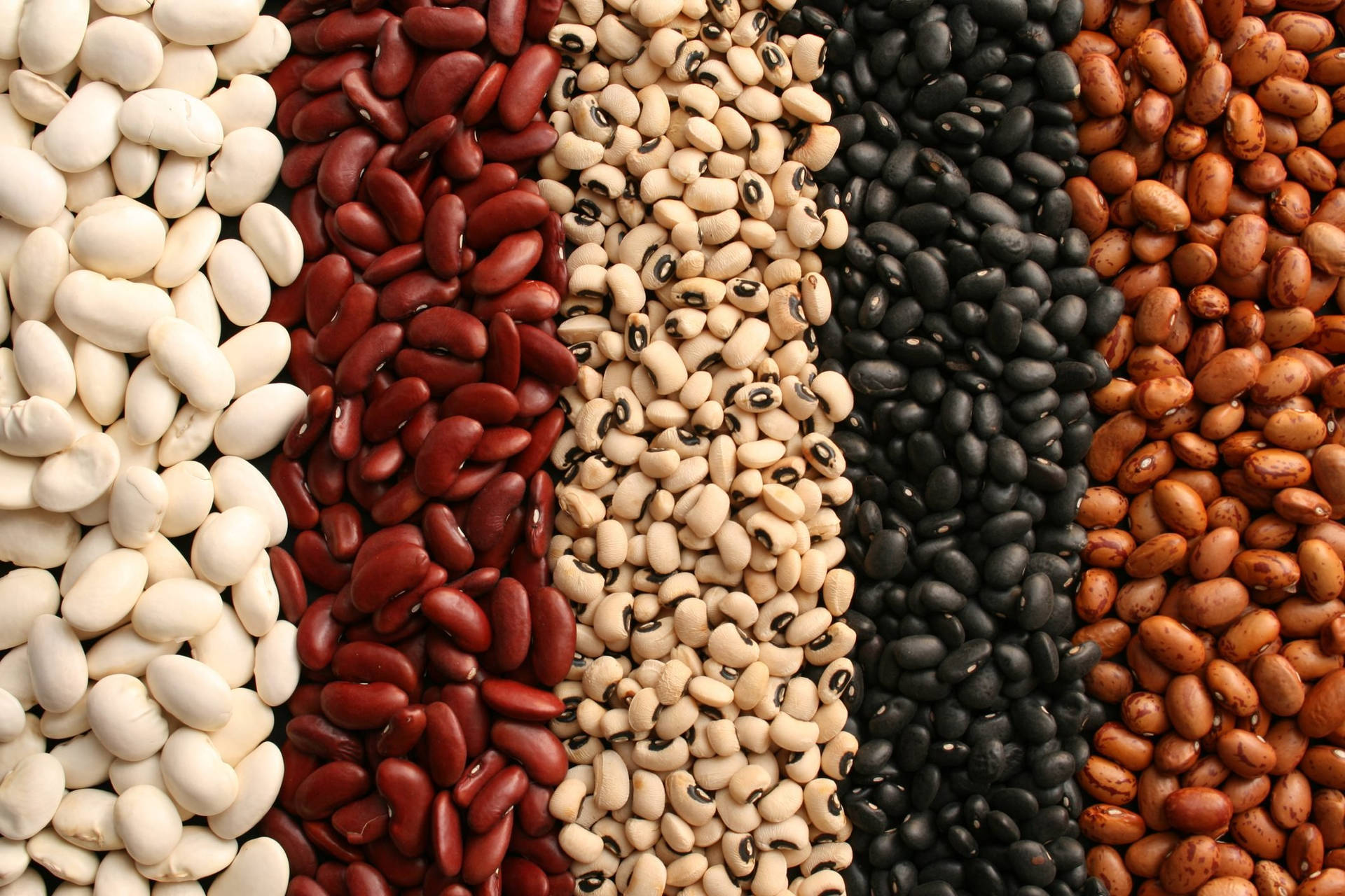 Beans Wallpaper