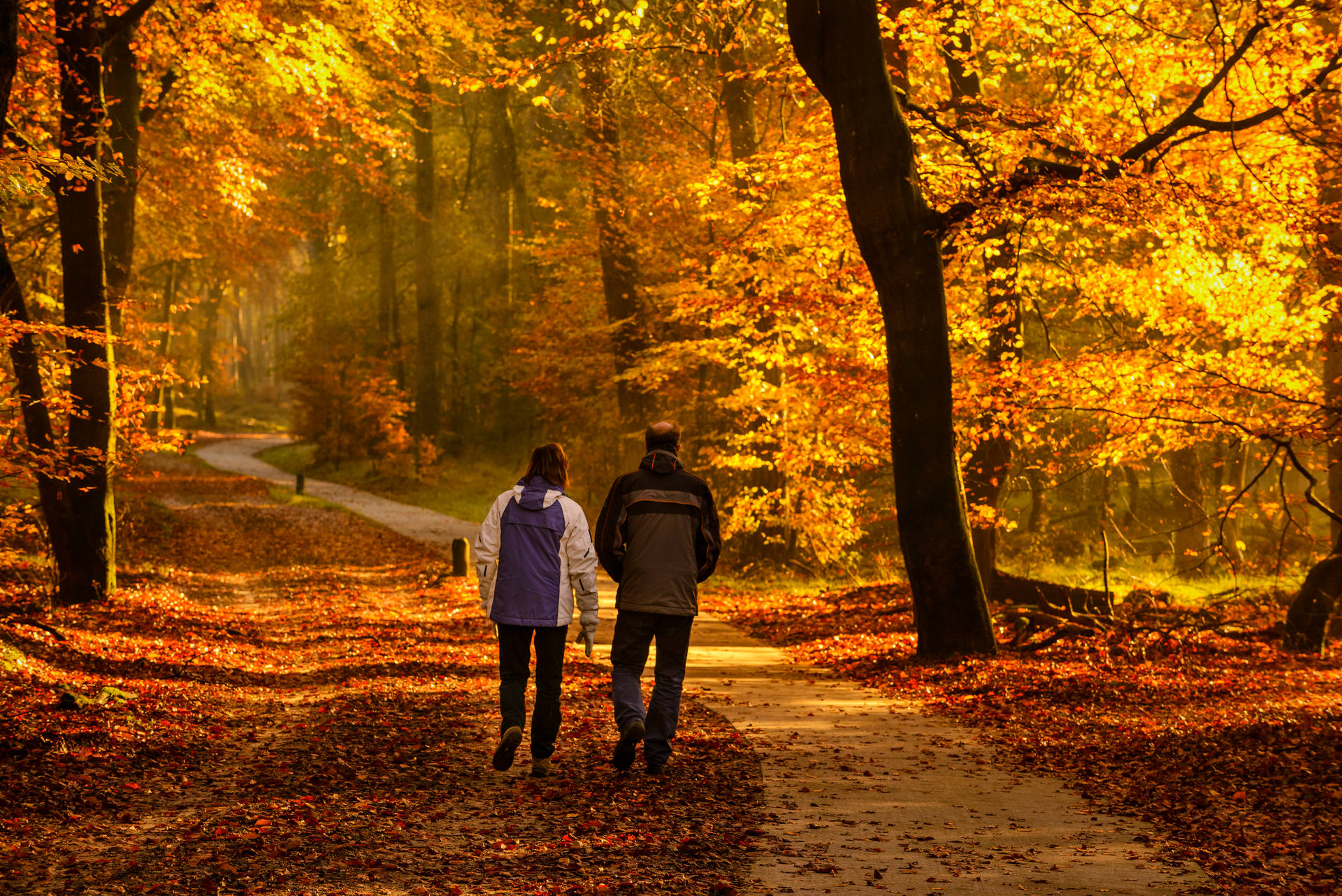 Autumn Hiking Wallpaper