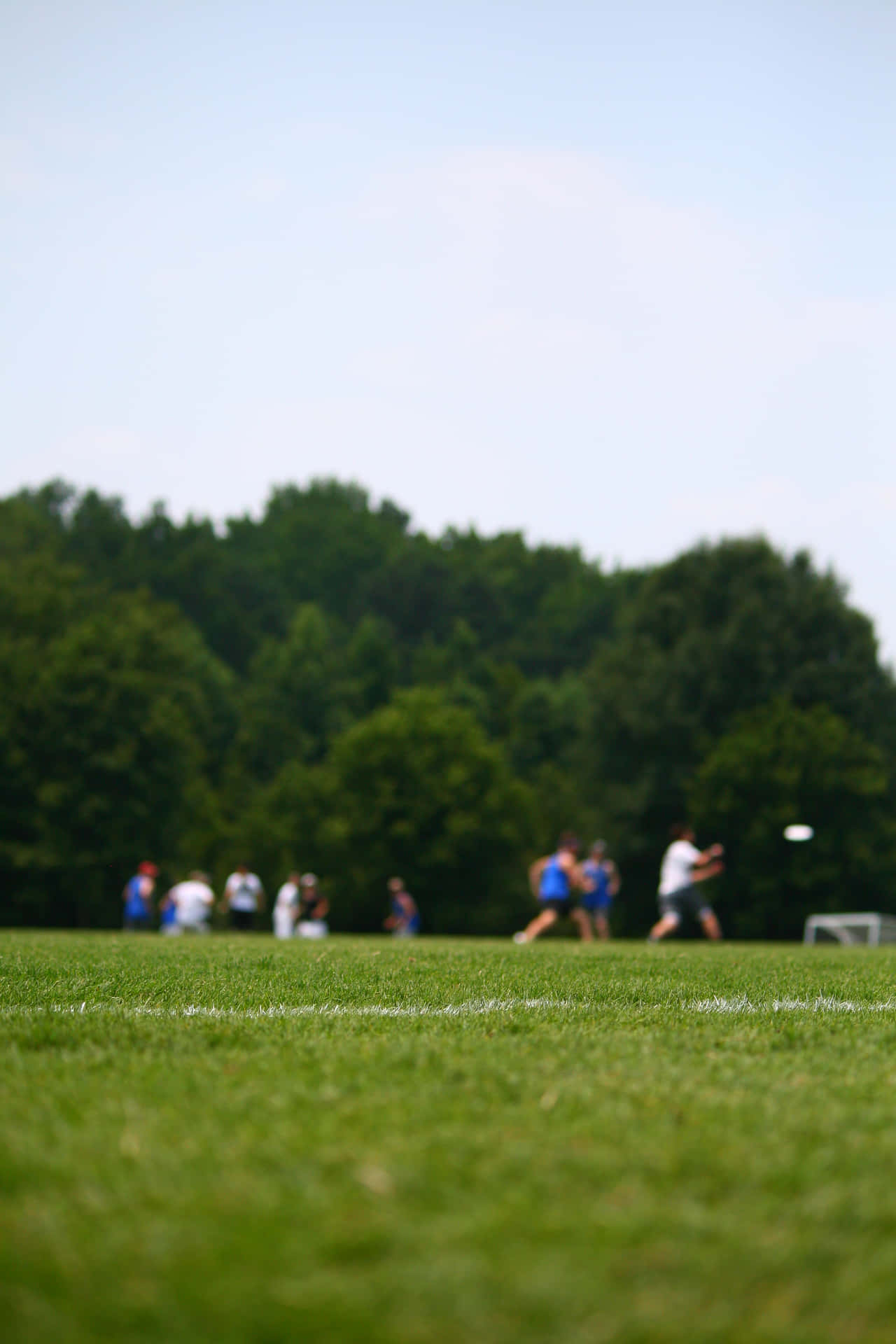 A Man Is Playing Frisbee