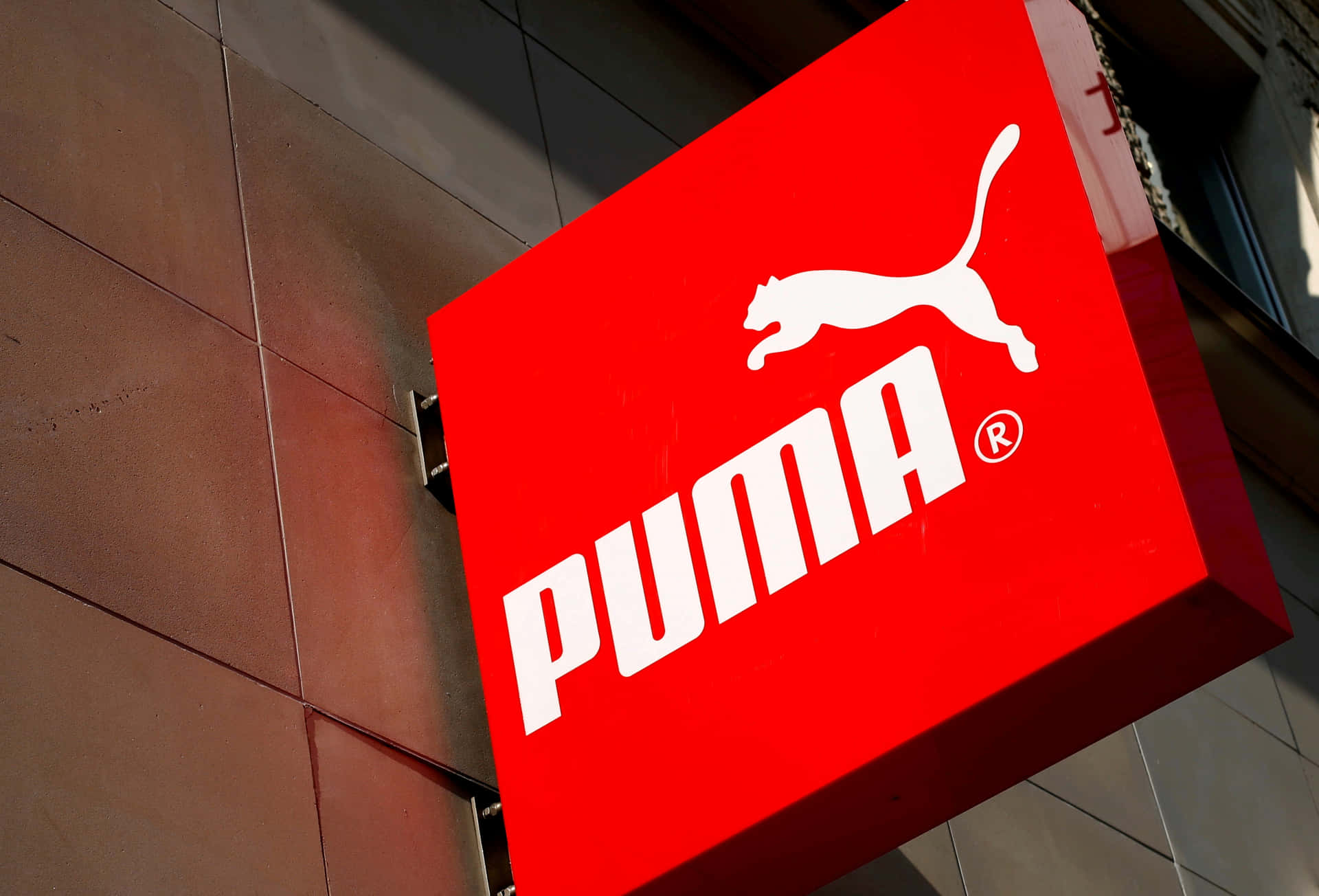 Puma Brand Picture