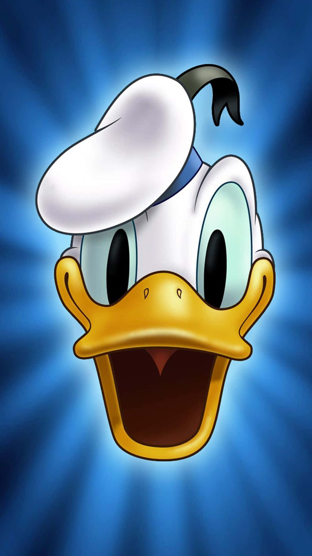 Animaleslindos De Caricatura Pato Donald Fondo de pantalla