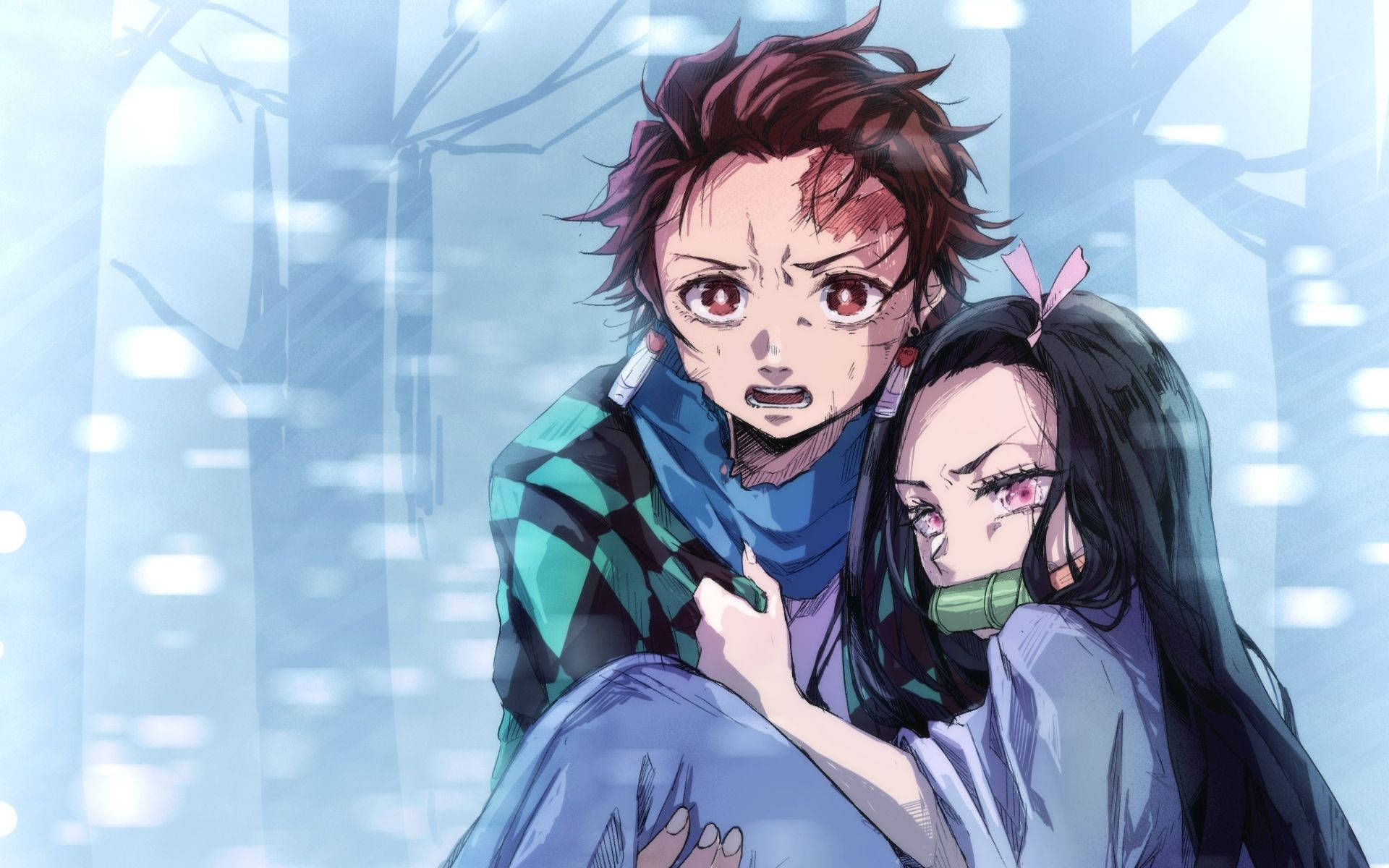 Anime Demon Slayer Kimetsu no Yaiba Kimetsu no Yaiba Nezuko Kamado Tanjirou  Kamado 1080P wallpaper hdwallpaper desktop  Anime Anime demon Anime  wallpaper