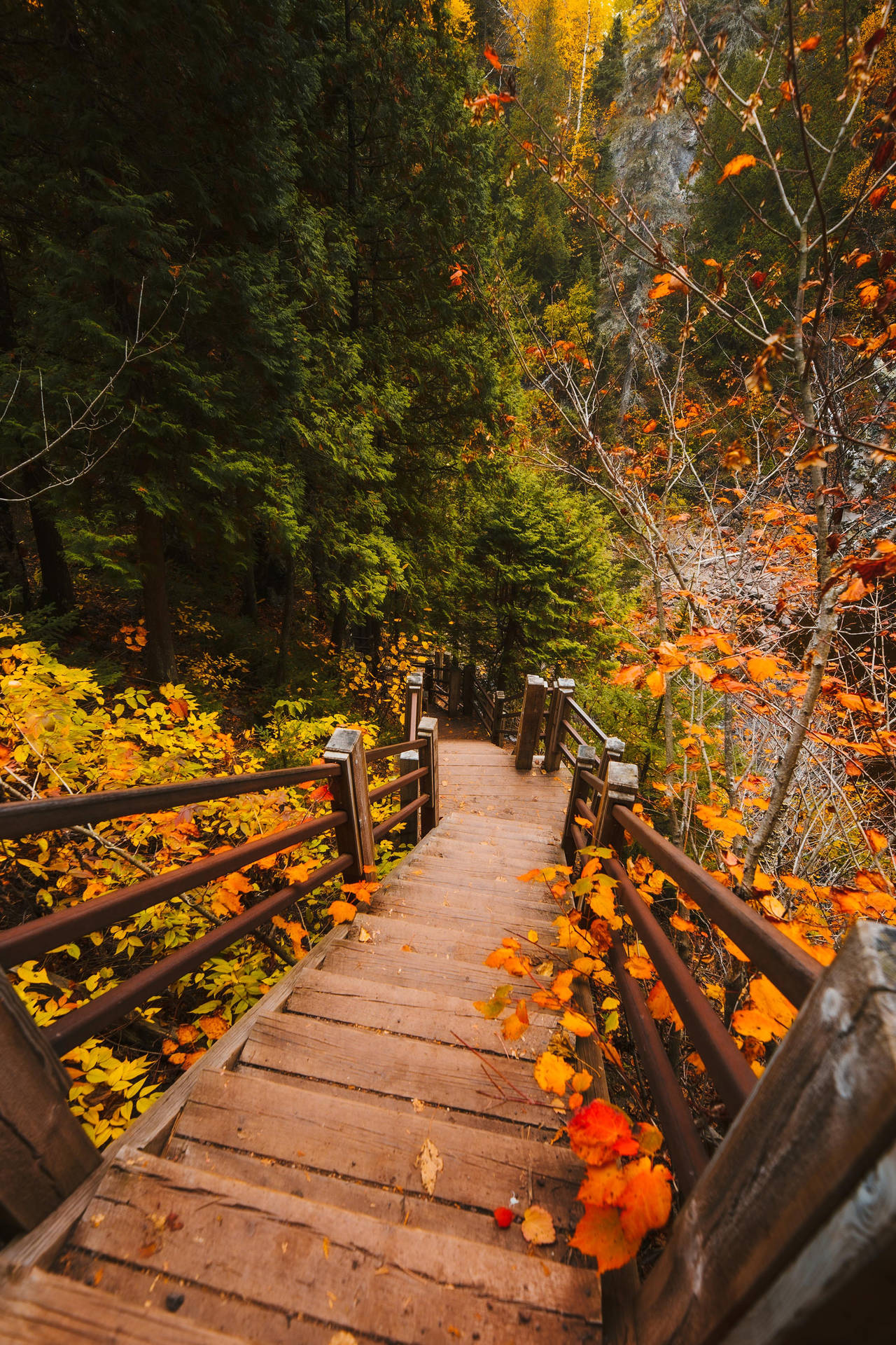 Fall Aesthetic Stairway Wallpaper