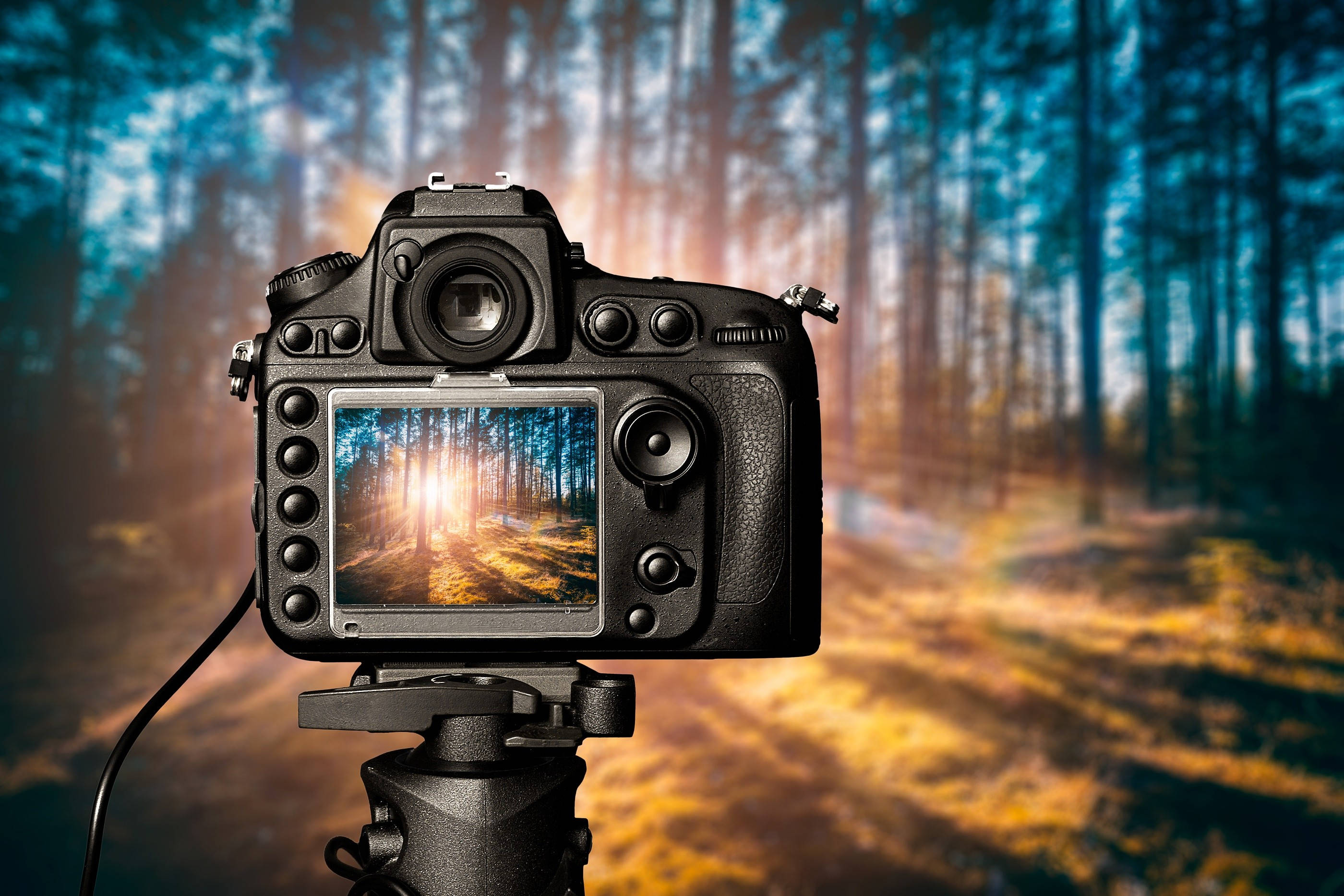 Free Camera Wallpaper Downloads, [400+] Camera Wallpapers for FREE |  