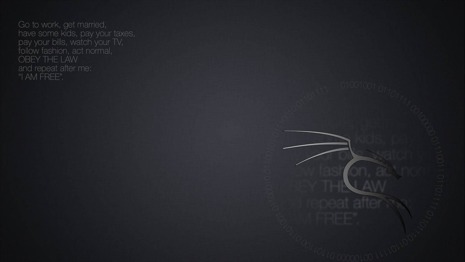 Kali Linux Dragon Grey Wallpaper