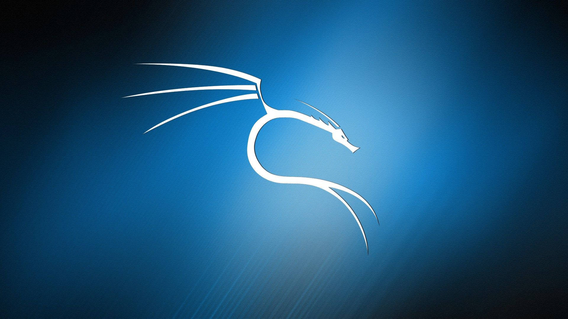 Kali Linux In Gradient Blue Wallpaper