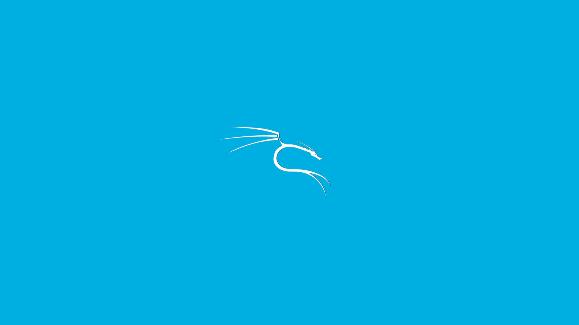 Kali Linux Light Blue HD Wallpaper