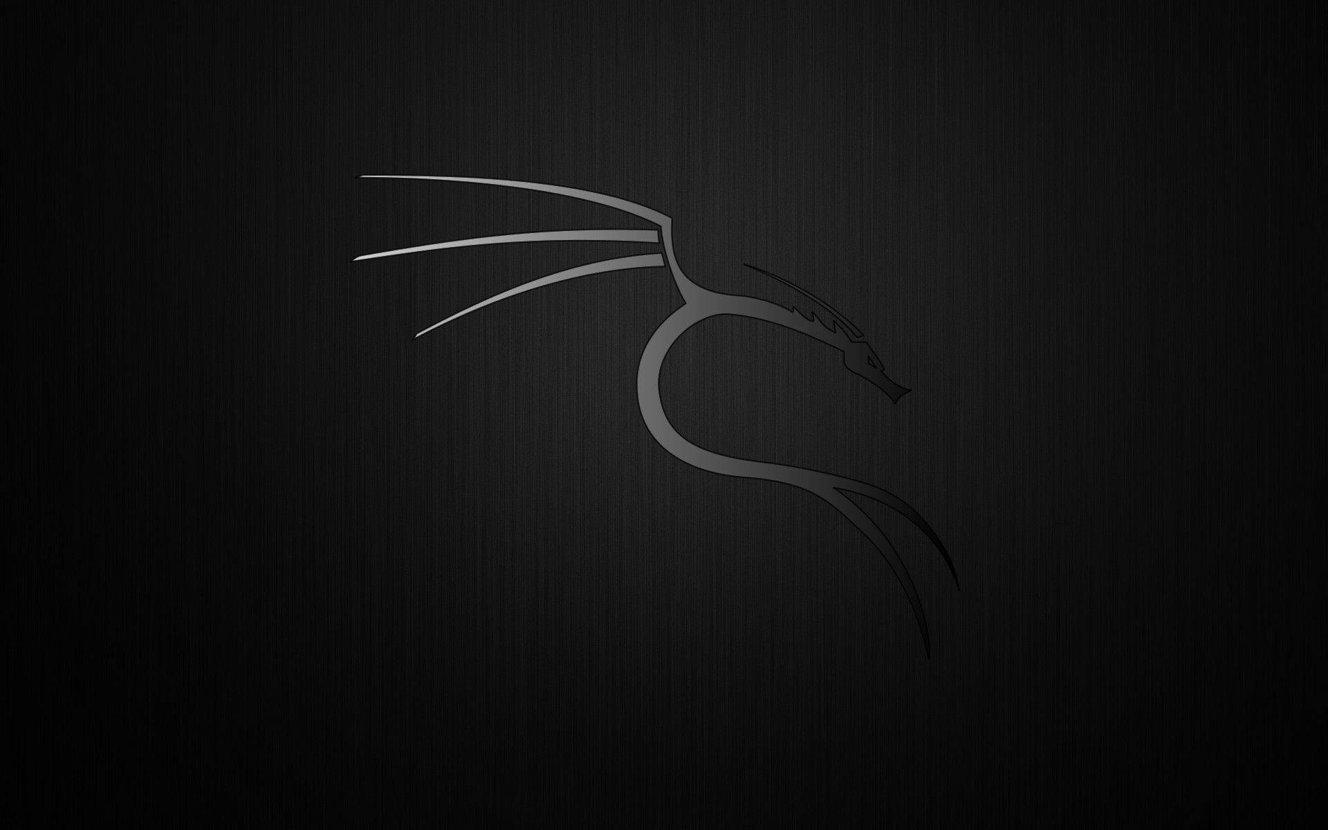 Kali Linux Matte Dragon Wallpaper