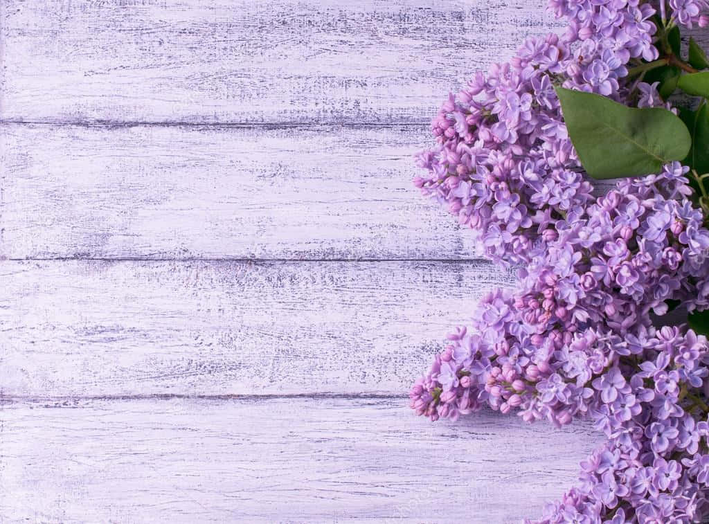 Flower Lilacs Background On Wood