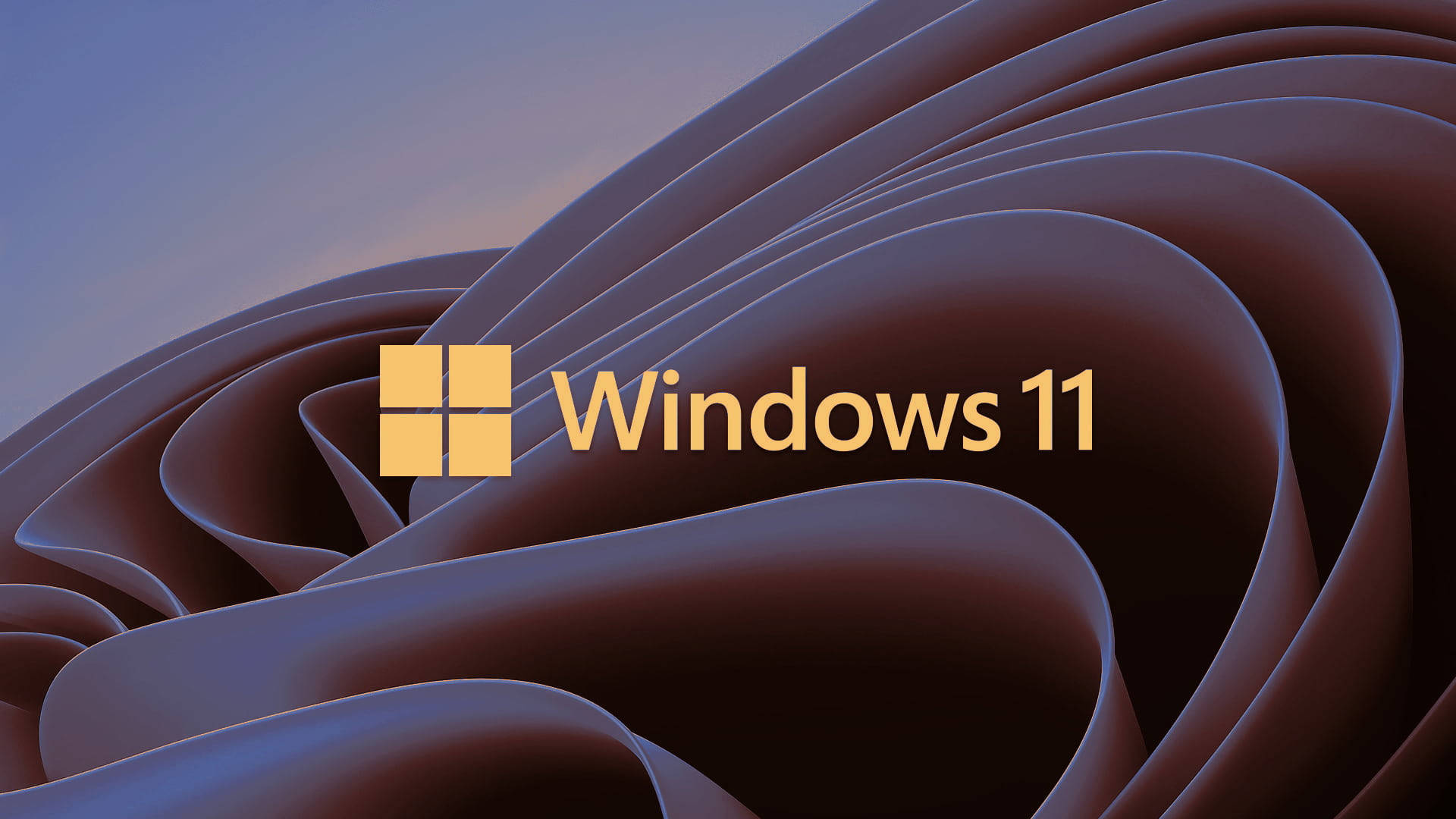 Windows 11 Logo Wallpaper Logo Microsoft Windows Hd Wallpaper Vrogue ...