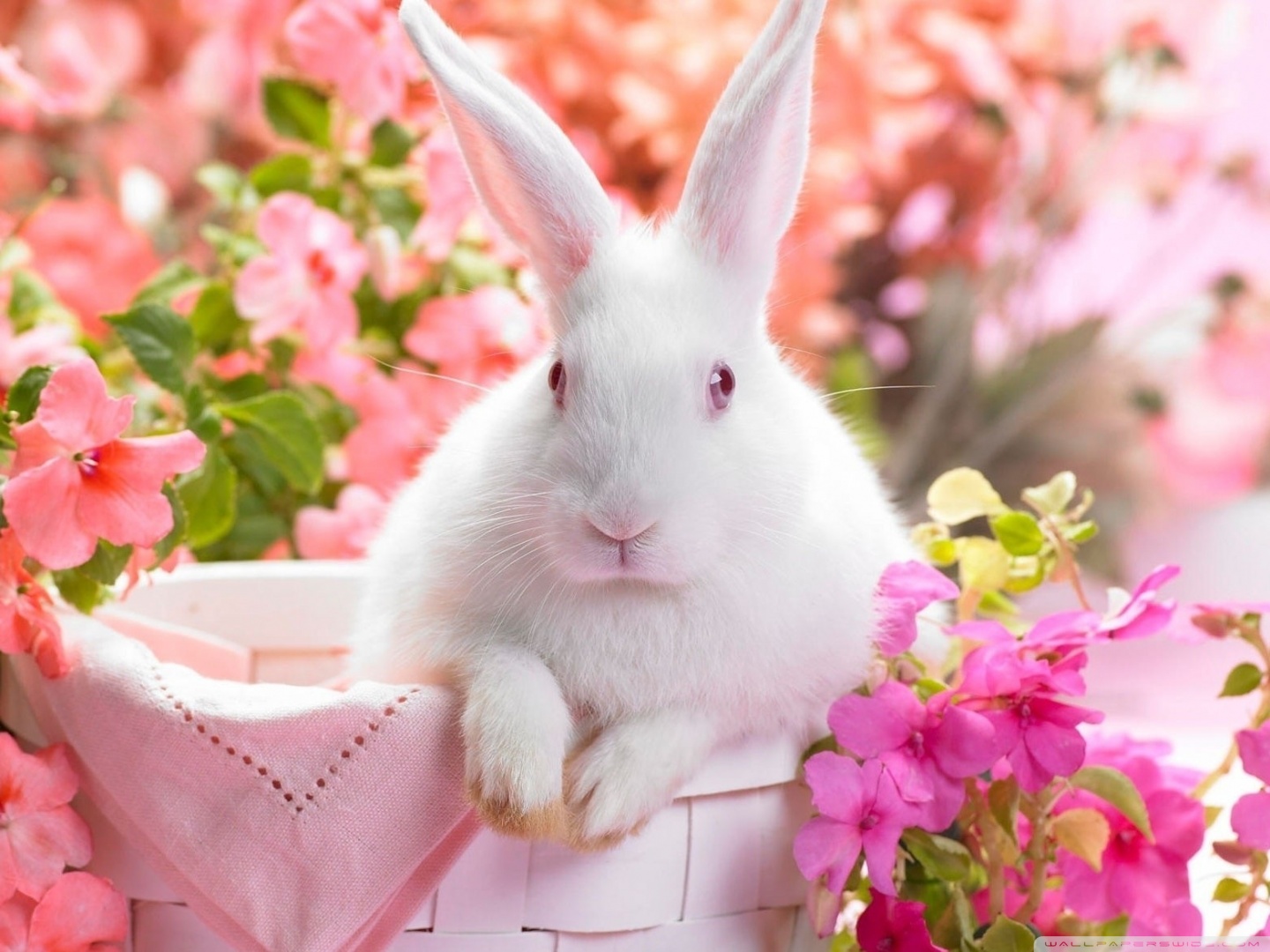 Premium Photo  Cute bunny rabbit on green grass with painted easter eggs  in basket and flower holiday festive background happy easter concept