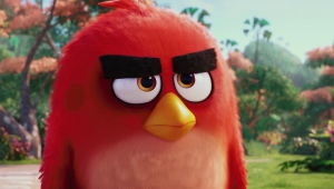 The Angry Birds Movie Pictures