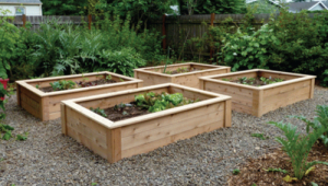 Raised Garden Beds Plans