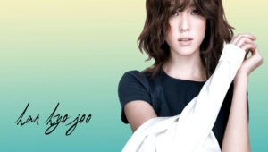 Han Hyo Joo Background