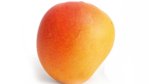 Mango Images