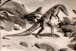 Black And White Dinosaurs,