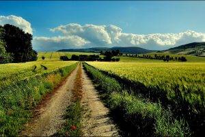 nature, Landscape, Path, Farm, Dirt Road