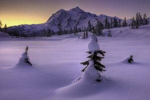 landscape, Snow, Winter, Trees, Mountain