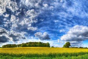 nature, Landscape, HDR, Field, Trees, Clouds