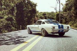 car, Ford, Ford Mustang