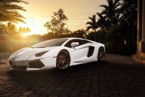 Lamborghini Aventador, LP 700, Sunlight