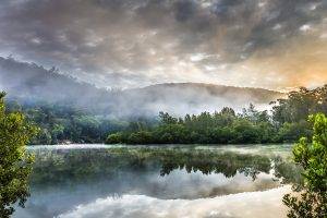 landscape, Trees, Australia, Berowra Creek