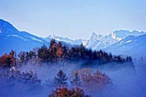 mist, Trees, Mountain, Nature, Landscape, Forest