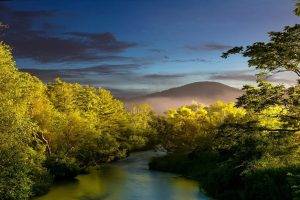 nature, Landscape, Sunset, Mist, River, Trees, Shrubs, Hills, Sunlight