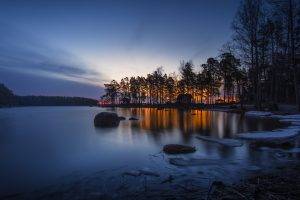 landscape, Trees, Nature