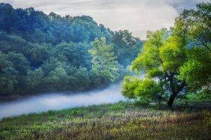 nature, Landscape, Mist, River, Forest, Grass, Trees, Overcast, Daylight, Green