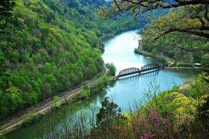 nature, Railroad Track