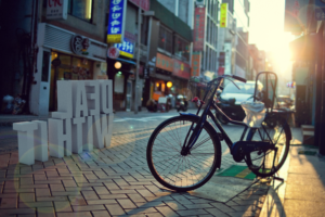 bicycle, Skull, Forest