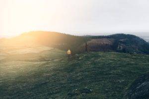 landscape, Nature, Trees, Sunset, Grass