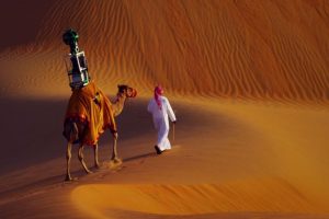 camels, Desert, Google, Google Street View, Camera, Liwa Desert