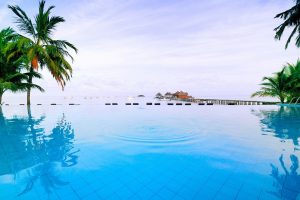 pine trees, Swimming pool