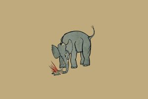 album covers, Mount Eerie (Band), Music, Elephant, Minimalism, Campfire