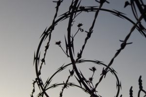 barbed wire