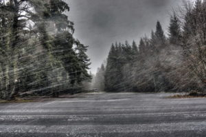 rain, Nature, Windy, Trees