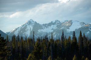 nature, Trees, Snow, Mountains, Road