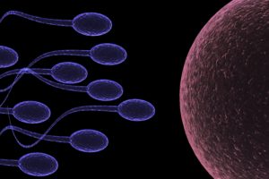 sperm, Abstraction, Abstract, Bokeh, Life, Sex, Sexual, Medical, Dna, Male, Man, Men, 1sperm, Mating, Psychedelic, Egg, Cell, Eggs, Swim, Swimming, Vector