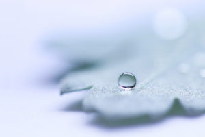 water, Drop