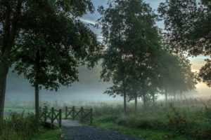 mist, Fog, Nature, Landscapes, Bridges, Sunrise, Sunset, Trees